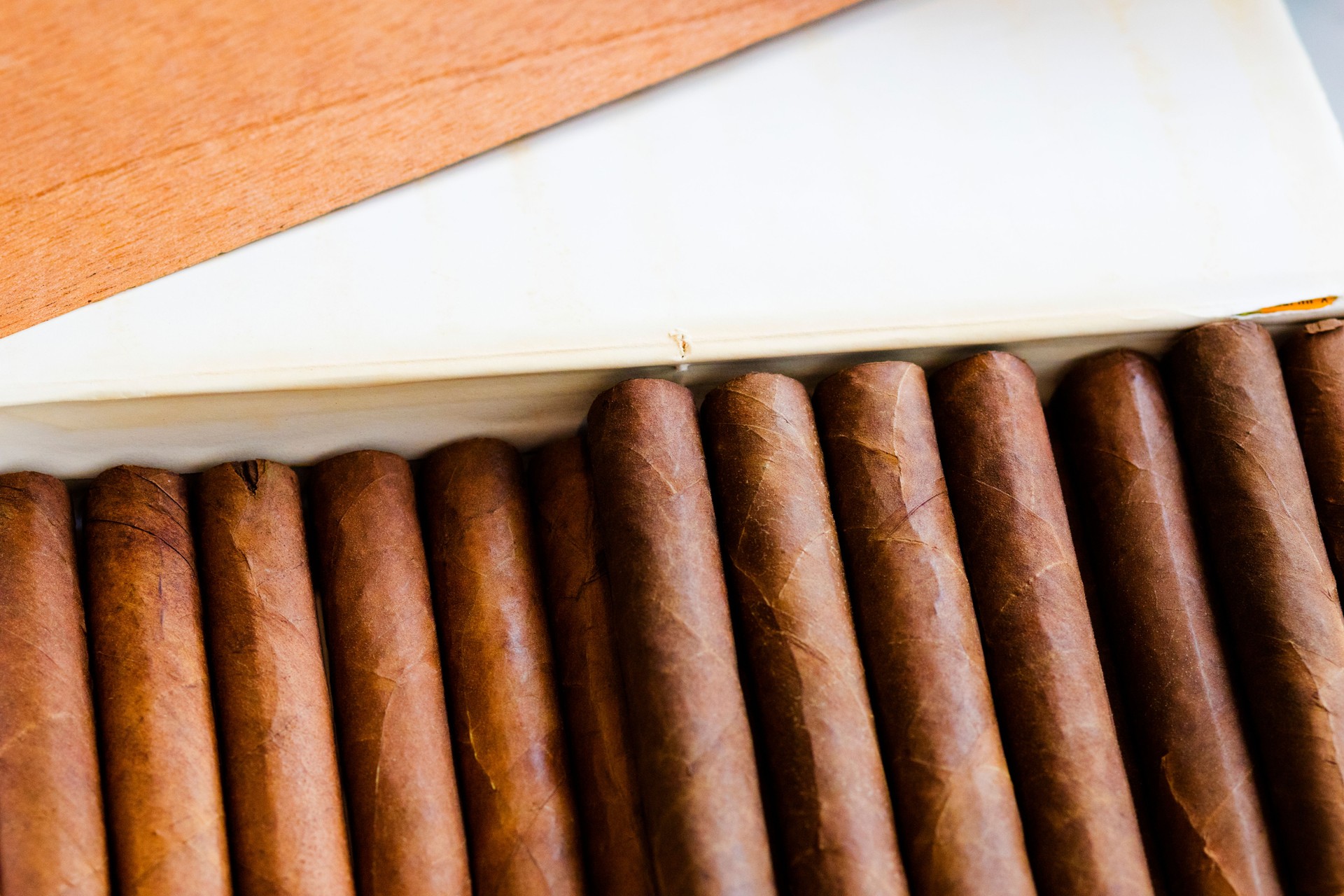 Close-up of Box with long cuban cigars